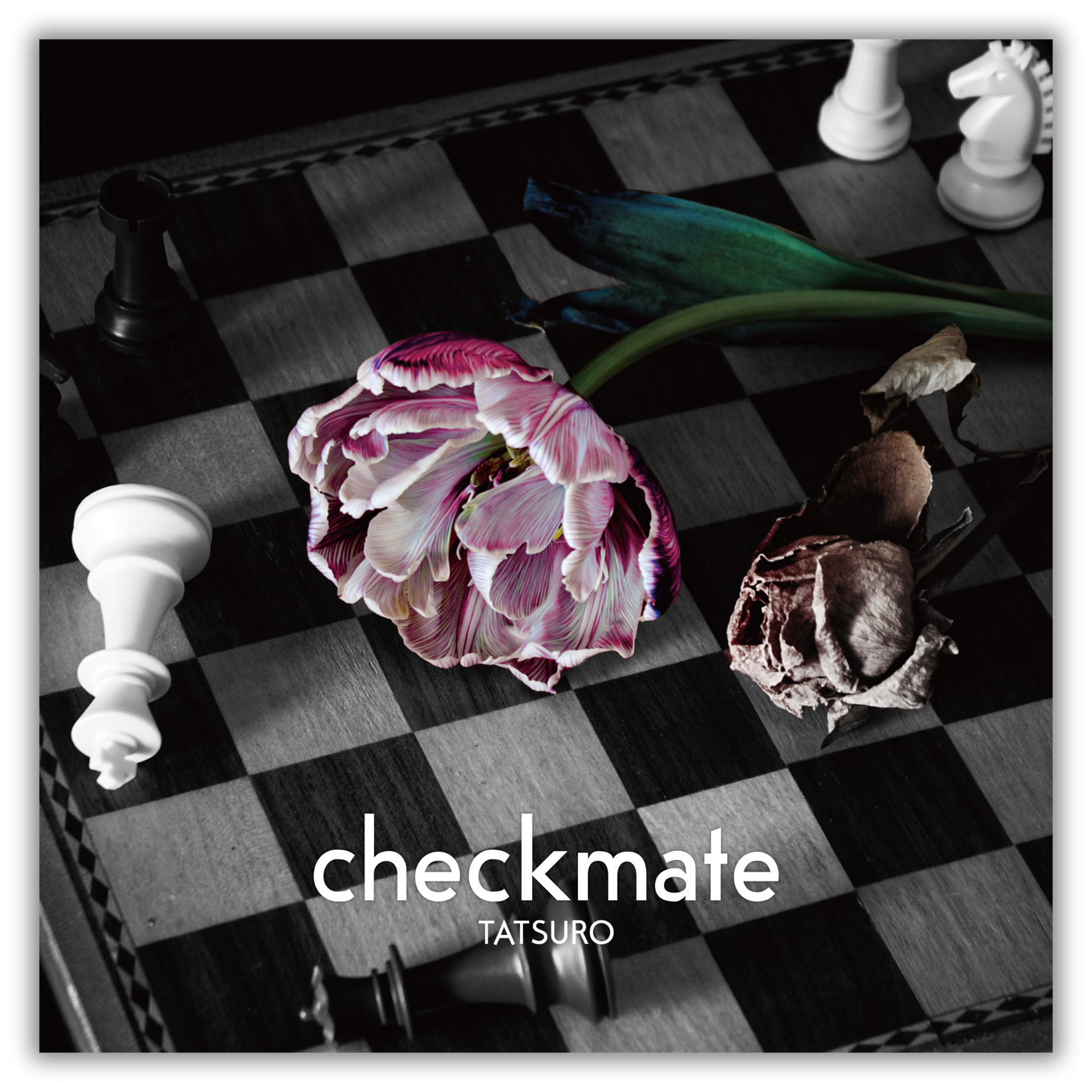 checkmate（TYPE-B） – ArCADE