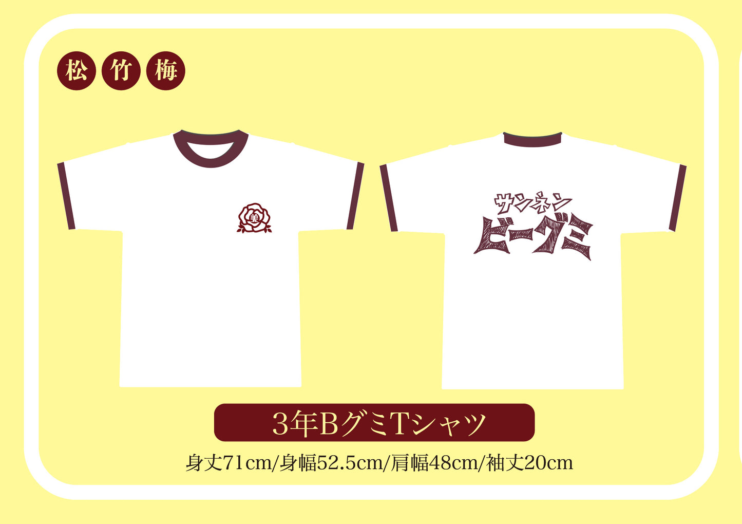 サンネンビーグミセット(竹)スクールバッグ＋Tシャツ＋DVD