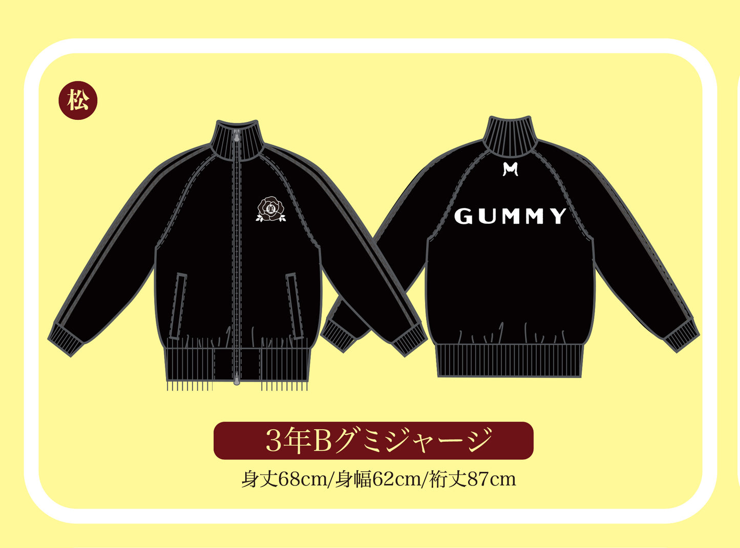 サンネンビーグミセット(松)ジャージ＋スクールバッグ＋Tシャツ＋DVD